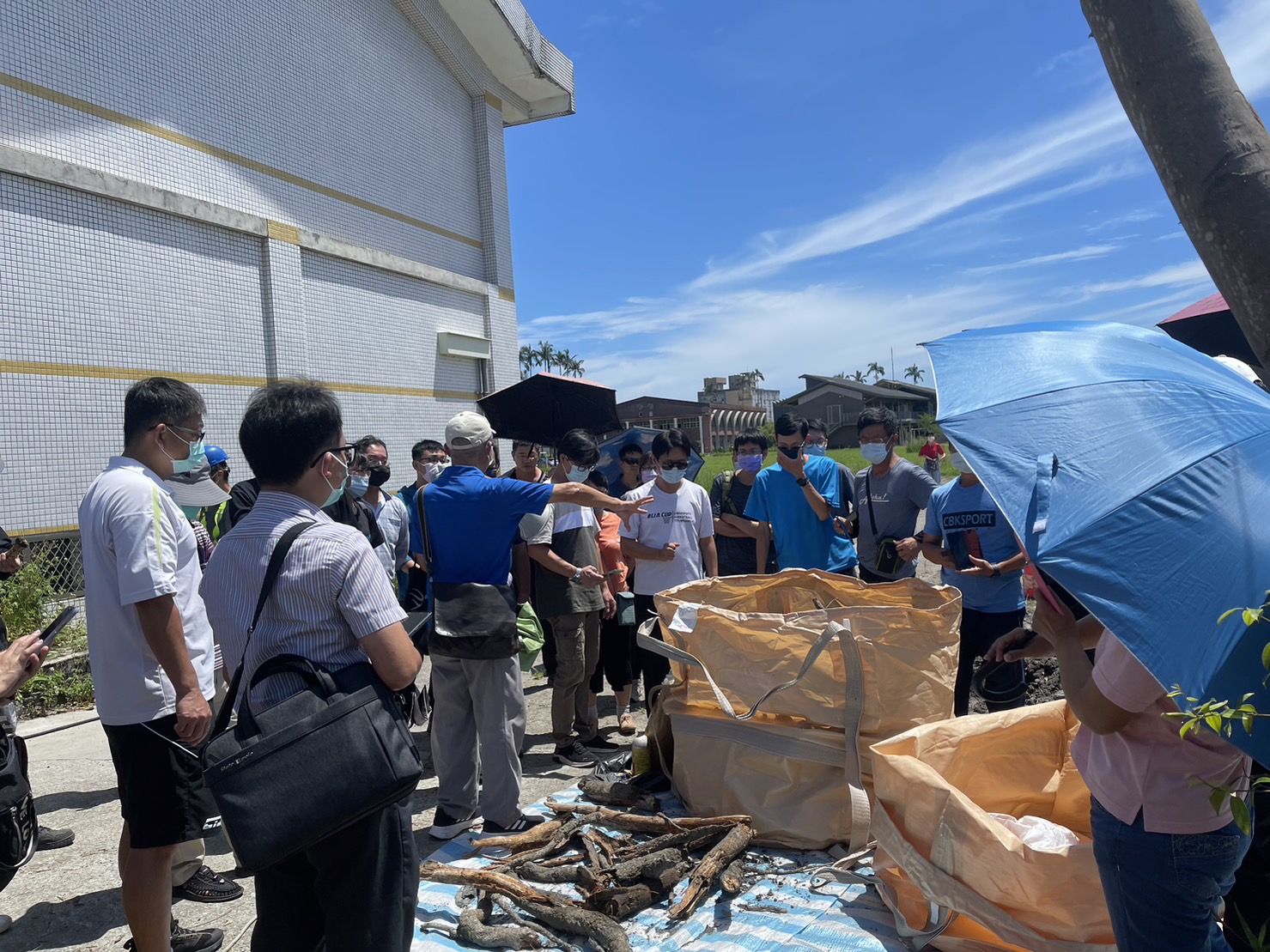 褐根病防治作業與土壤燻蒸施工