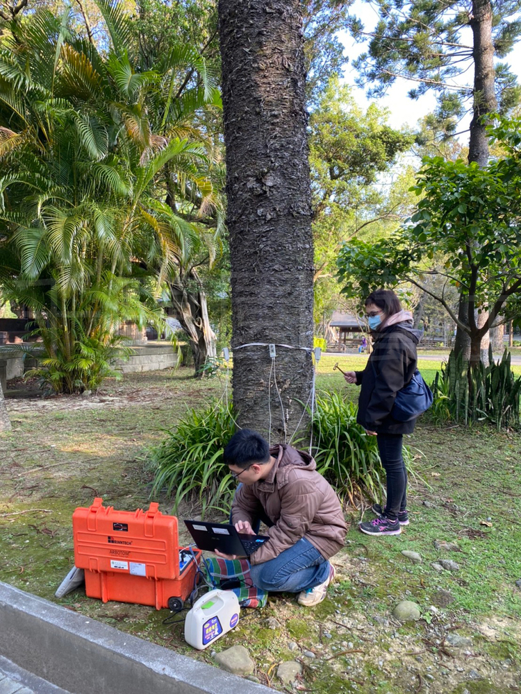 樹木風險評估書面報告