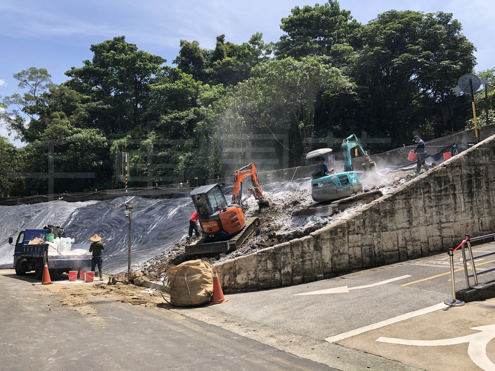 病蟲害防治現場作業與樹木健康管理