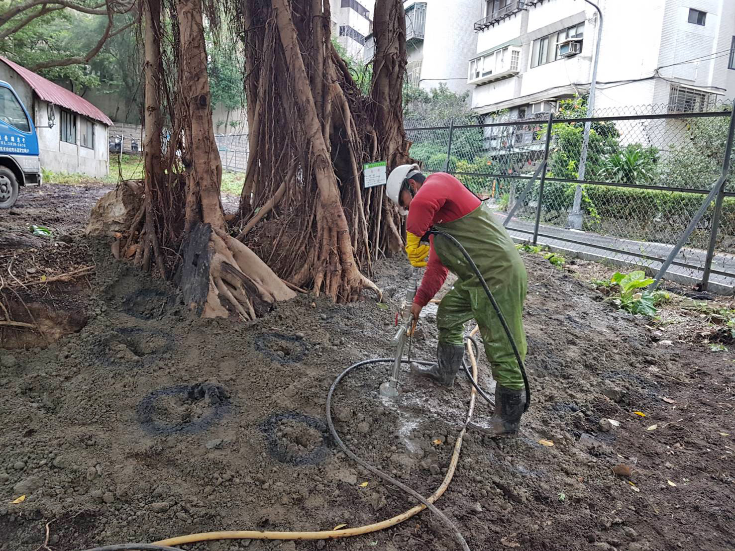 病蟲害防治施作成果與樹勢改善