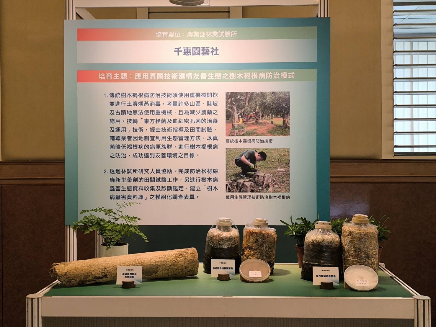 以菌制菌生物防治概念示意與褐根病防治應用