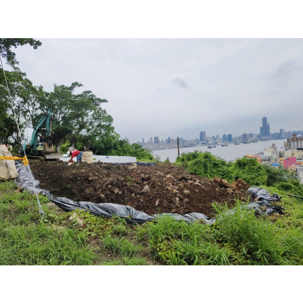 高雄燈塔樹木褐根病防治