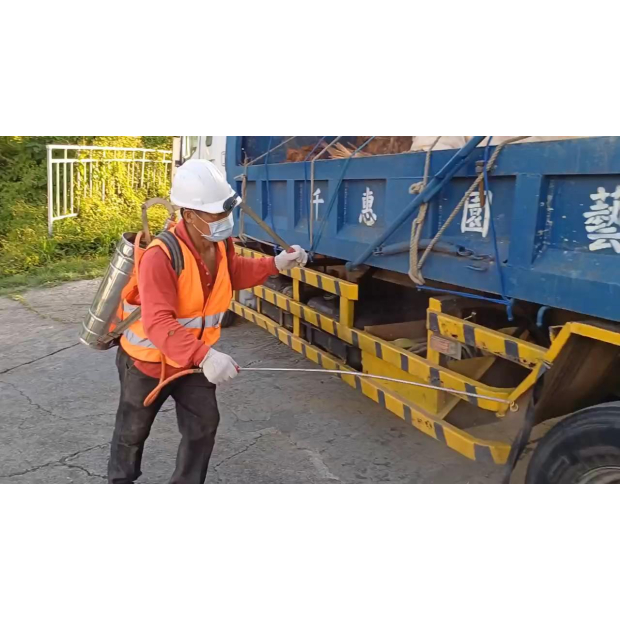 高雄燈塔樹木褐根病防治