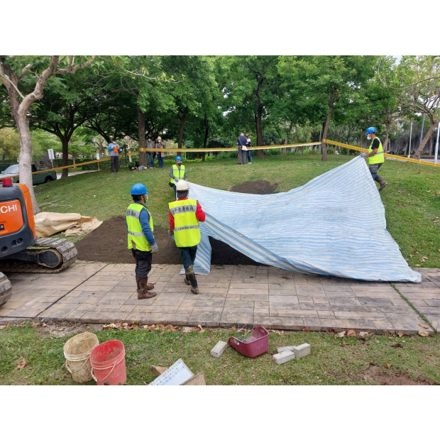 臺北市政府公燈處褐根病防治