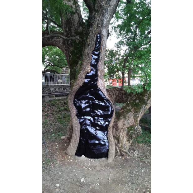 南投縣政府樹木外科