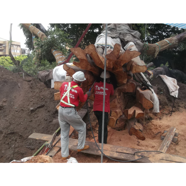 褐根病褐根病防治、外科及移植